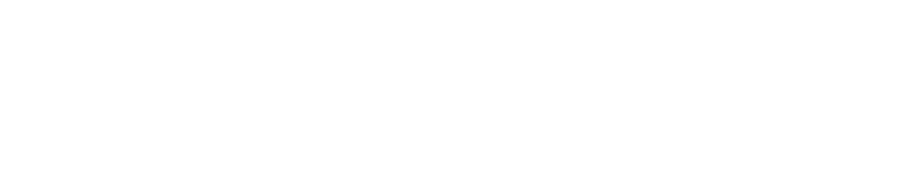 ルーデン・ホールディングス