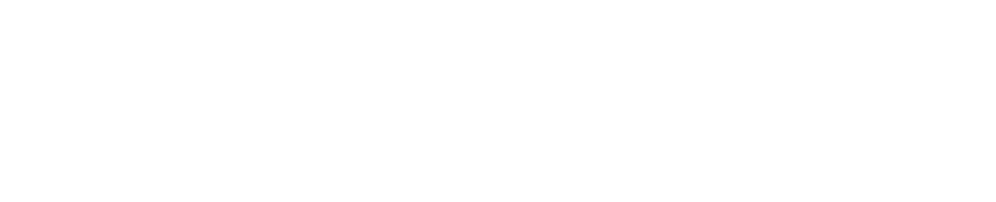 ルーデン・ホールディングス